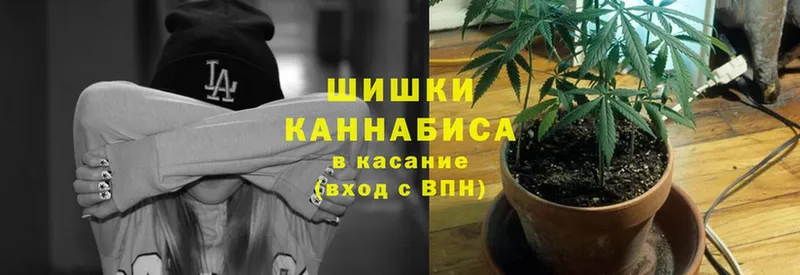 маркетплейс как зайти  kraken зеркало  Цоци-Юрт  Шишки марихуана Ganja 